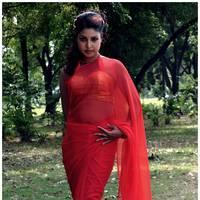 Komal Jha Latest Hot Saree Photos | Picture 522834