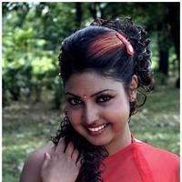 Komal Jha Latest Hot Saree Photos | Picture 522836