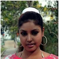 Komal Jha Latest Hot Saree Photos | Picture 522837
