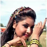 Komal Jha Latest Hot Saree Photos | Picture 522676