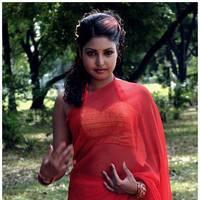 Komal Jha Latest Hot Saree Photos | Picture 522838