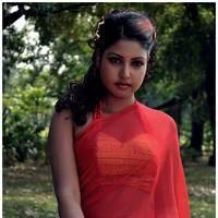Komal Jha Latest Hot Saree Photos | Picture 522840