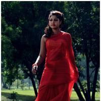 Komal Jha Latest Hot Saree Photos | Picture 522842