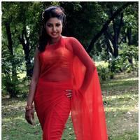 Komal Jha Latest Hot Saree Photos | Picture 522843