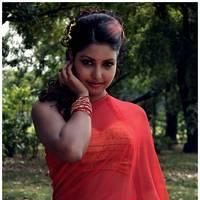 Komal Jha Latest Hot Saree Photos | Picture 522844