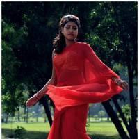 Komal Jha Latest Hot Saree Photos | Picture 522845