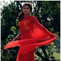 Komal Jha Latest Hot Saree Photos | Picture 522846
