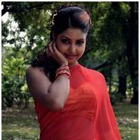 Komal Jha Latest Hot Saree Photos | Picture 522849