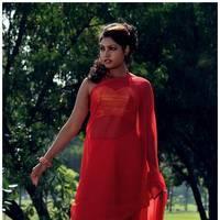 Komal Jha Latest Hot Saree Photos | Picture 522851