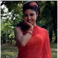 Komal Jha Latest Hot Saree Photos | Picture 522858