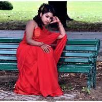 Komal Jha Latest Hot Saree Photos | Picture 522860