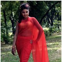 Komal Jha Latest Hot Saree Photos | Picture 522861