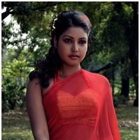 Komal Jha Latest Hot Saree Photos | Picture 522862