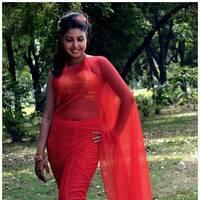 Komal Jha Latest Hot Saree Photos | Picture 522868