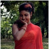 Komal Jha Latest Hot Saree Photos | Picture 522871
