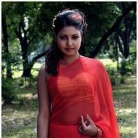 Komal Jha Latest Hot Saree Photos | Picture 522875