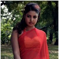 Komal Jha Latest Hot Saree Photos | Picture 522876