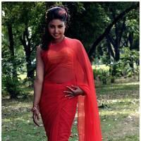 Komal Jha Latest Hot Saree Photos | Picture 522878