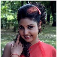 Komal Jha Latest Hot Saree Photos | Picture 522881