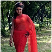 Komal Jha Latest Hot Saree Photos | Picture 522886