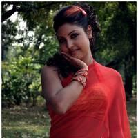 Komal Jha Latest Hot Saree Photos | Picture 522888