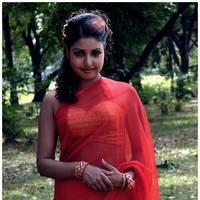 Komal Jha Latest Hot Saree Photos | Picture 522891