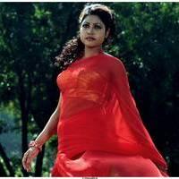 Komal Jha Latest Hot Saree Photos | Picture 522892