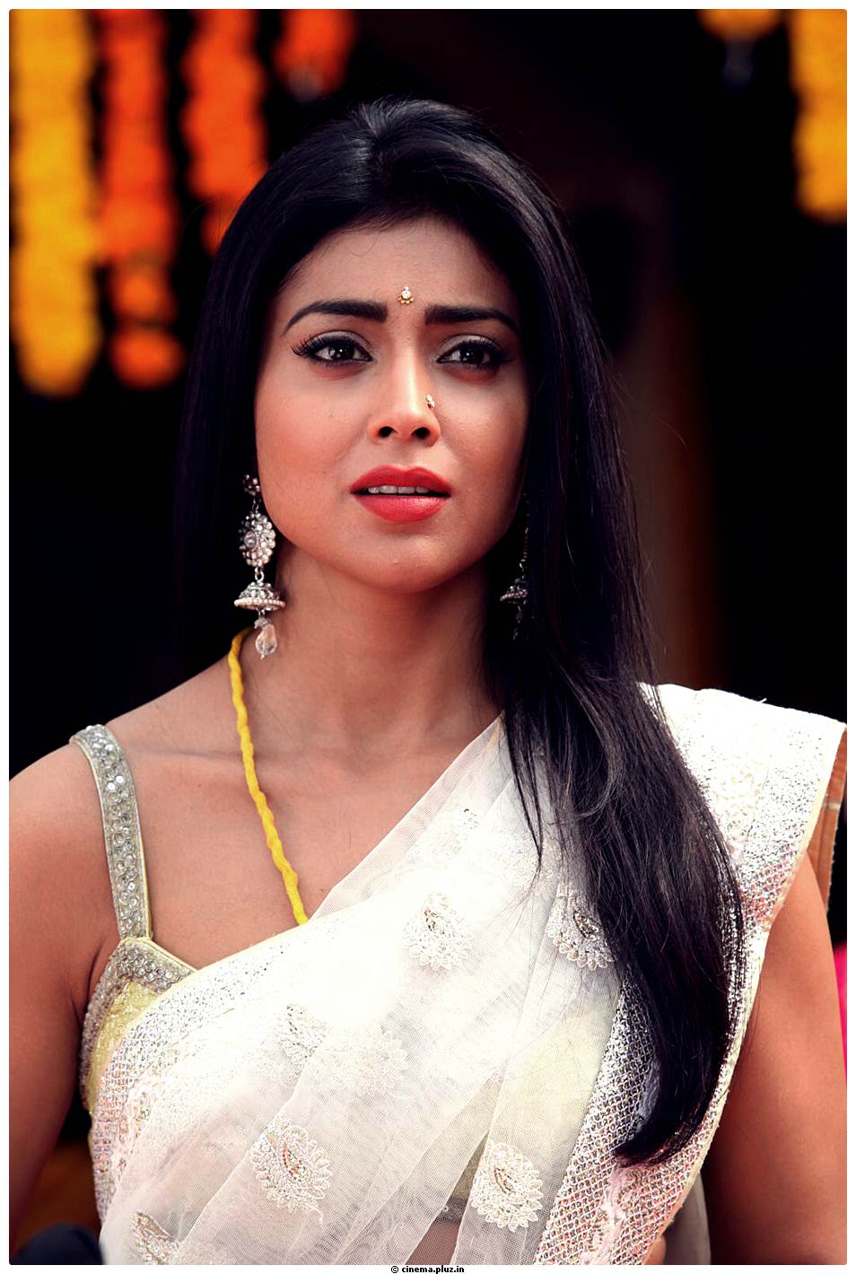 Shriya Cute Saree Images | Picture 522743