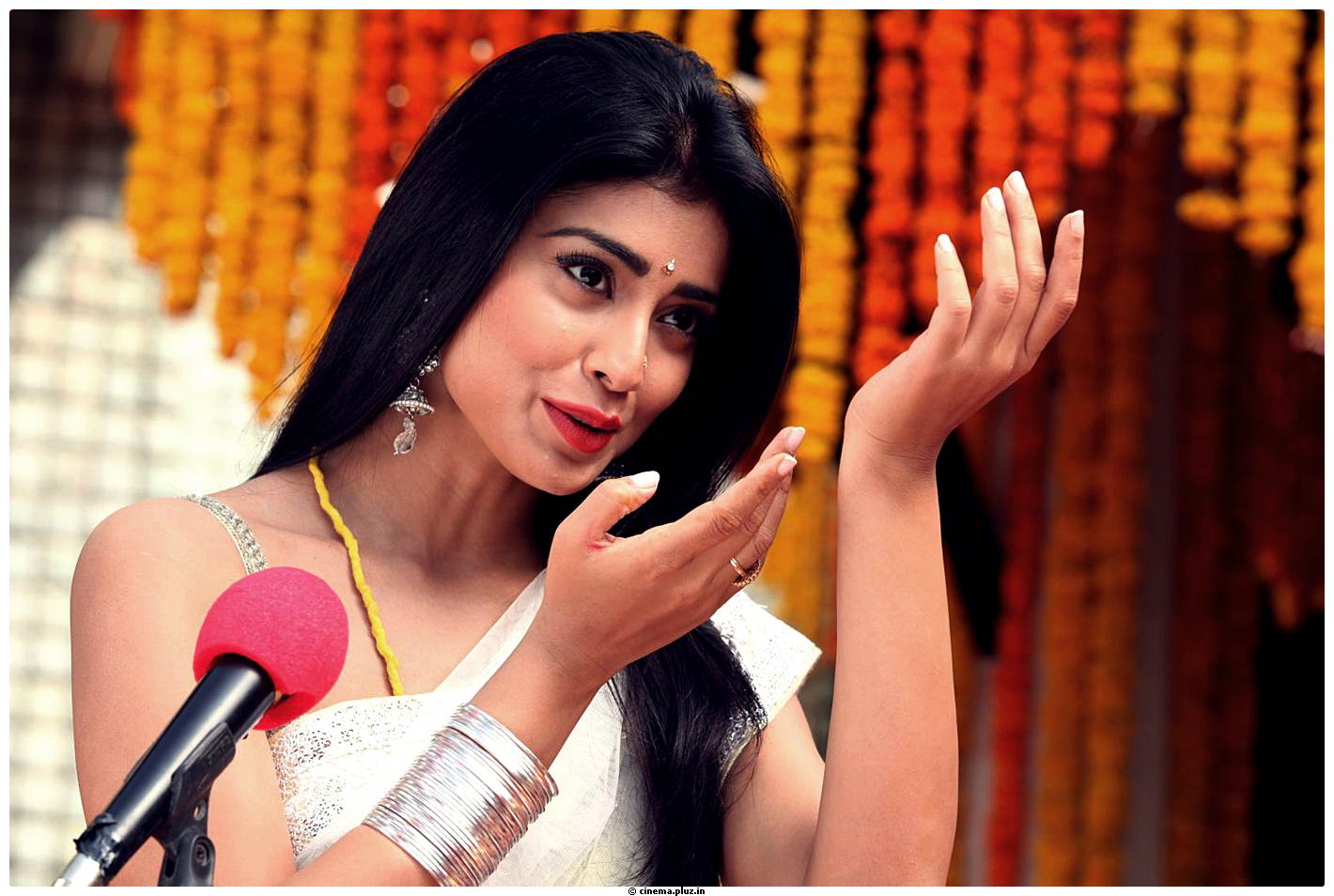 Shriya Cute Saree Images | Picture 522751