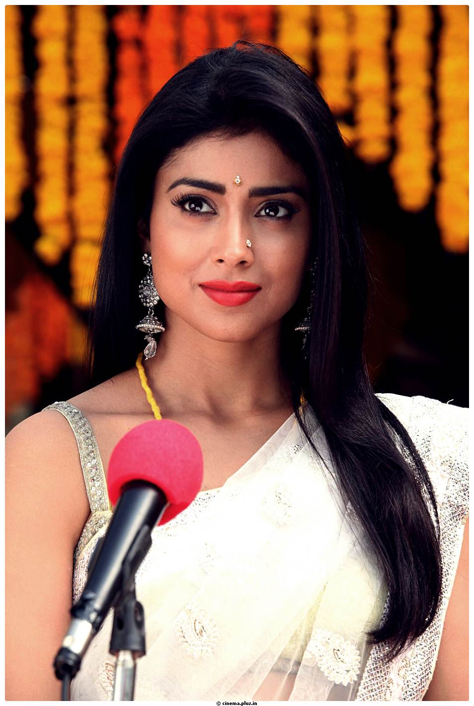 Shriya Cute Saree Images | Picture 522752