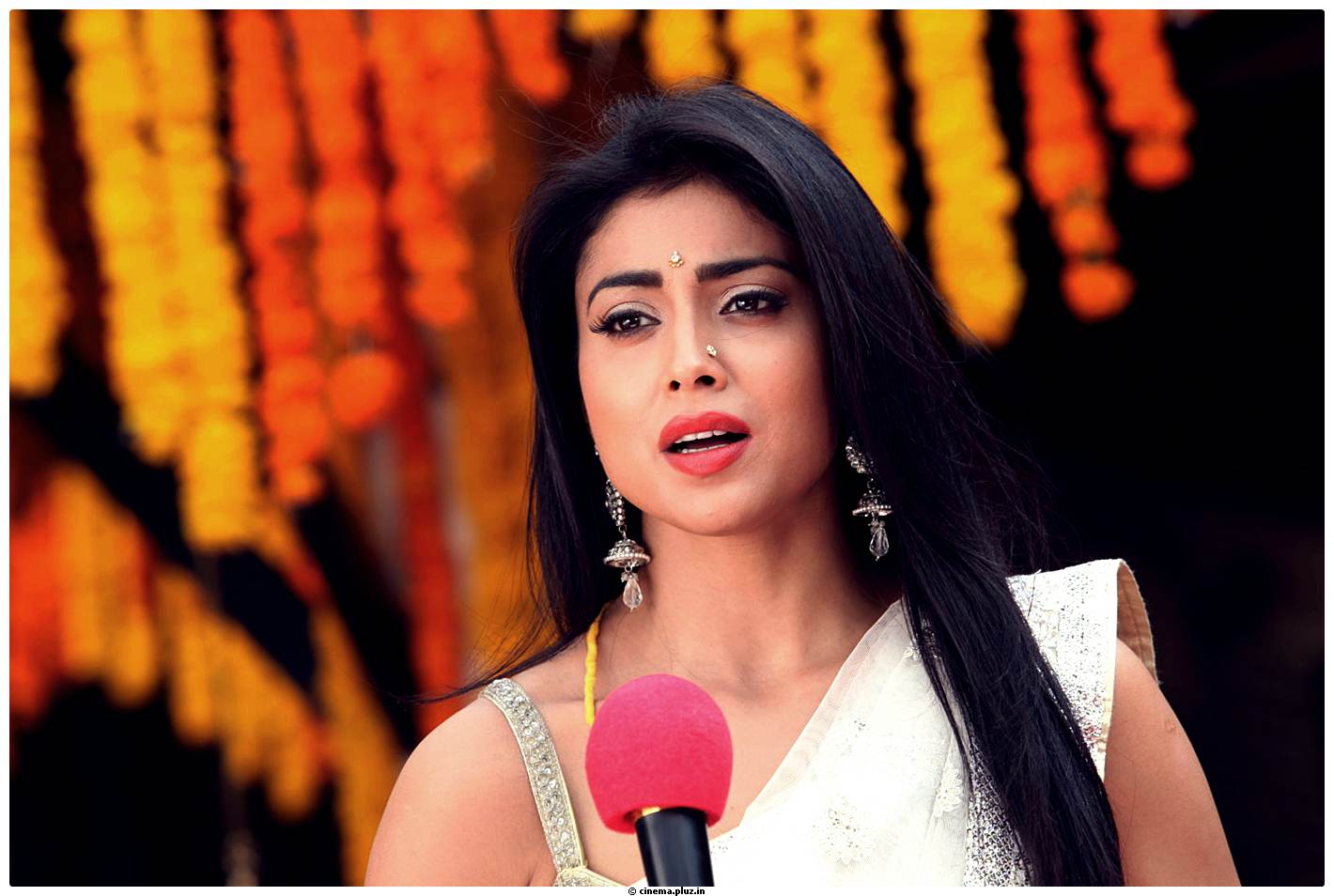 Shriya Cute Saree Images | Picture 522755