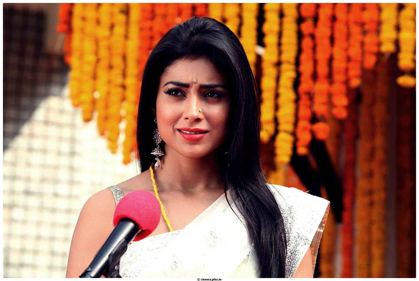 Shriya Cute Saree Images | Picture 522756