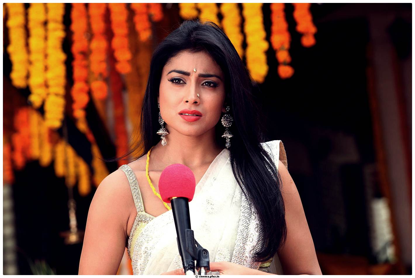 Shriya Cute Saree Images | Picture 522759