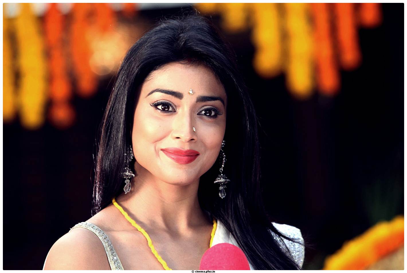 Shriya Cute Saree Images | Picture 522763