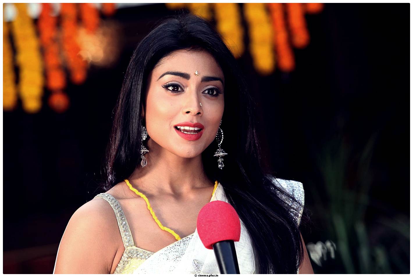 Shriya Cute Saree Images | Picture 522765
