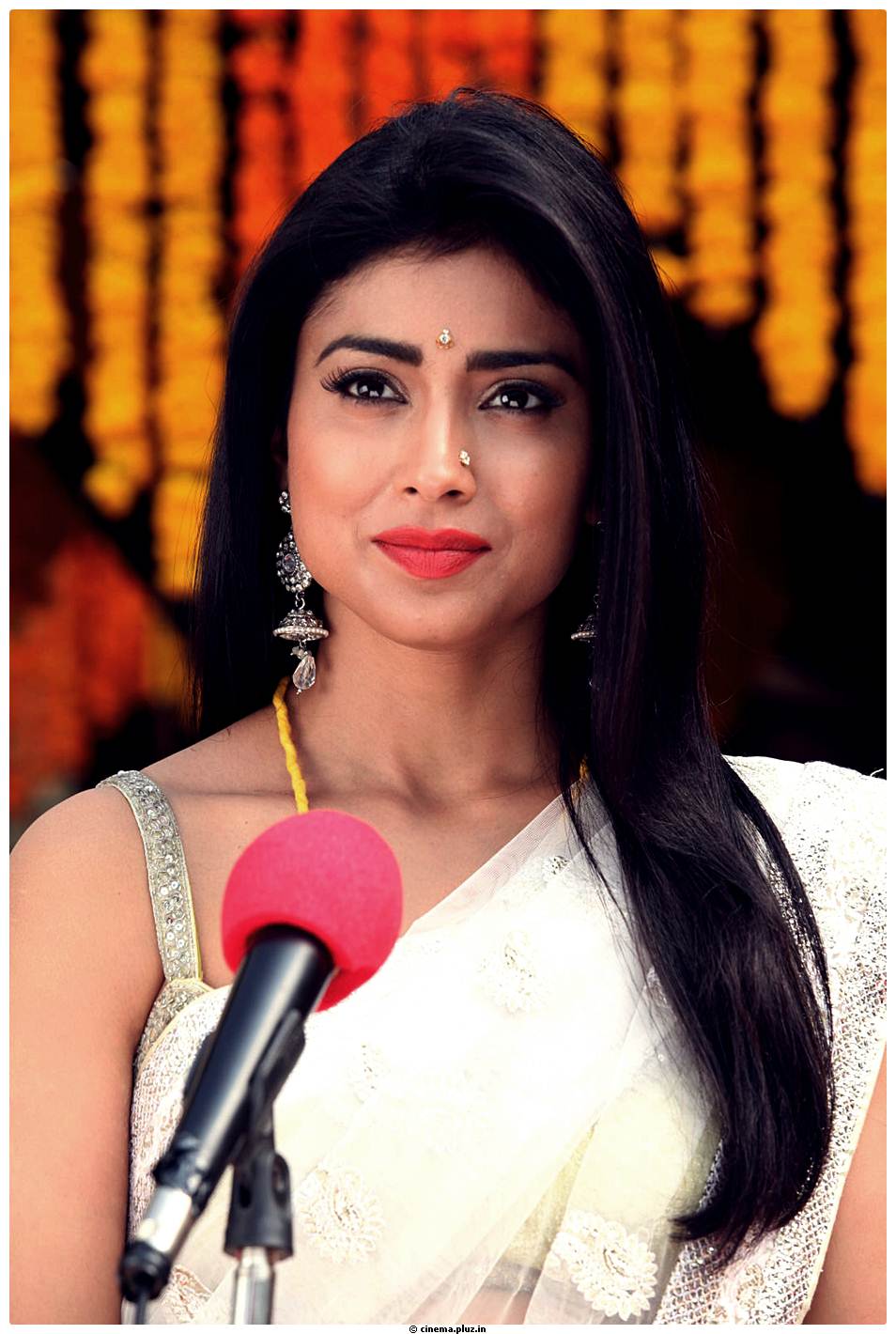 Shriya Cute Saree Images | Picture 522767