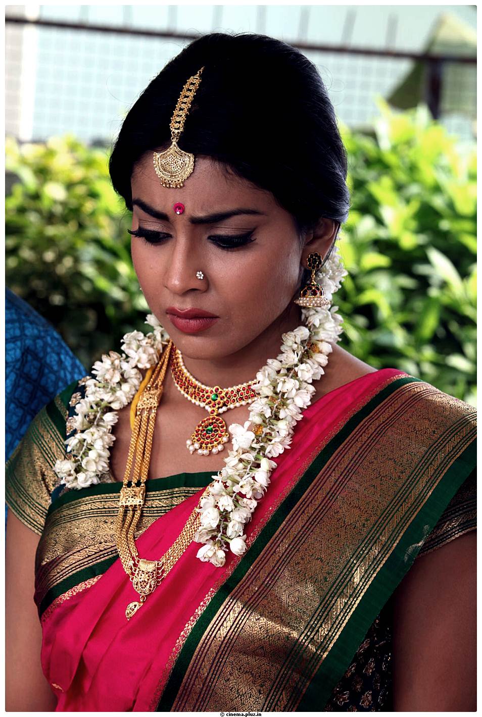 Shriya Cute Saree Images | Picture 522768