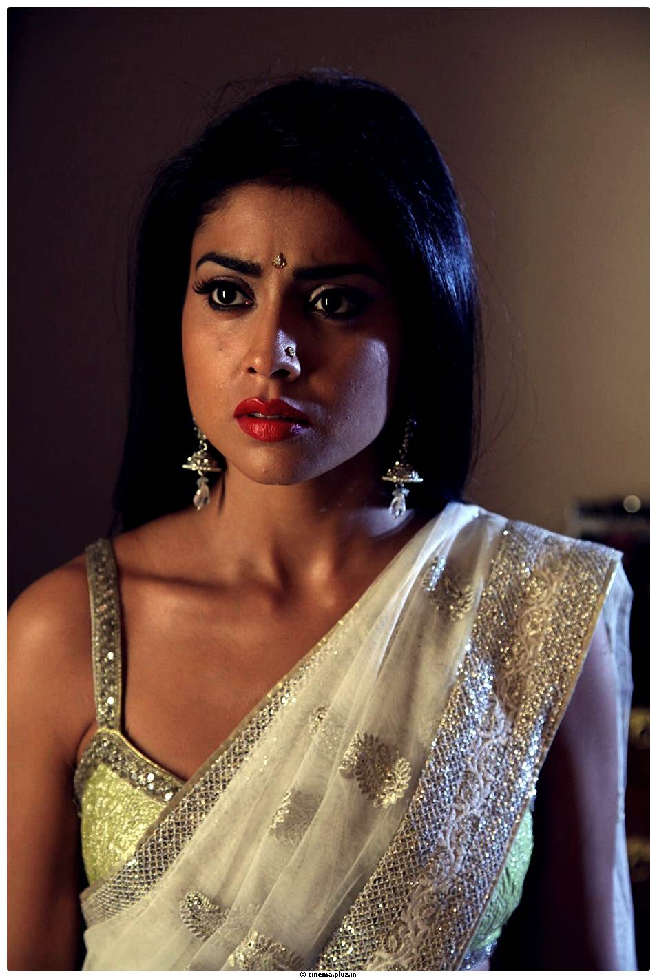 Shriya Cute Saree Images | Picture 522769
