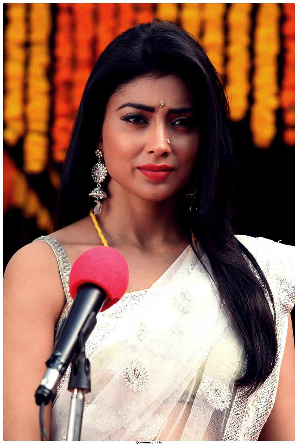 Shriya Cute Saree Images | Picture 522770
