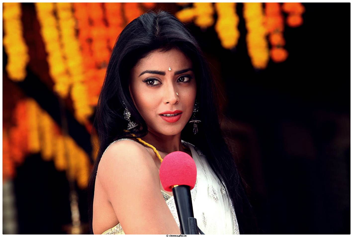Shriya Cute Saree Images | Picture 522771