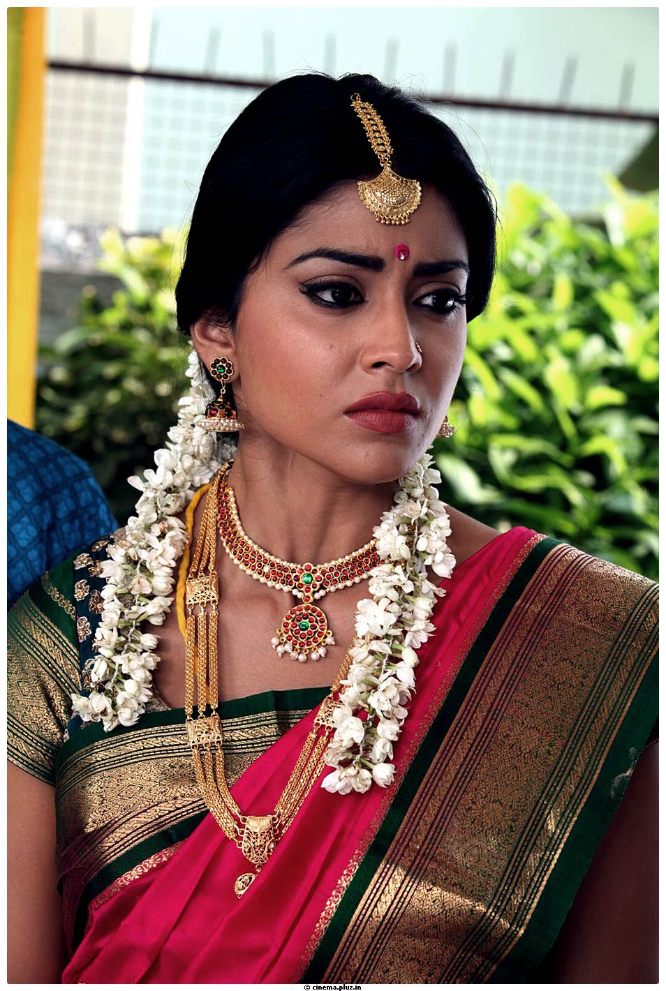 Shriya Cute Saree Images | Picture 522792