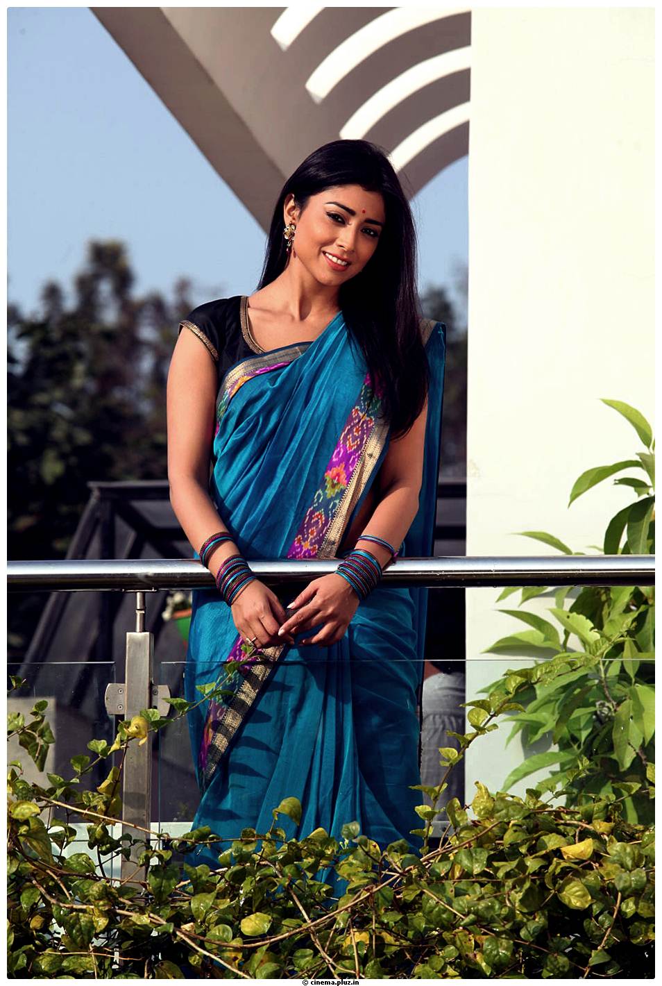 Shriya Cute Saree Images | Picture 522946