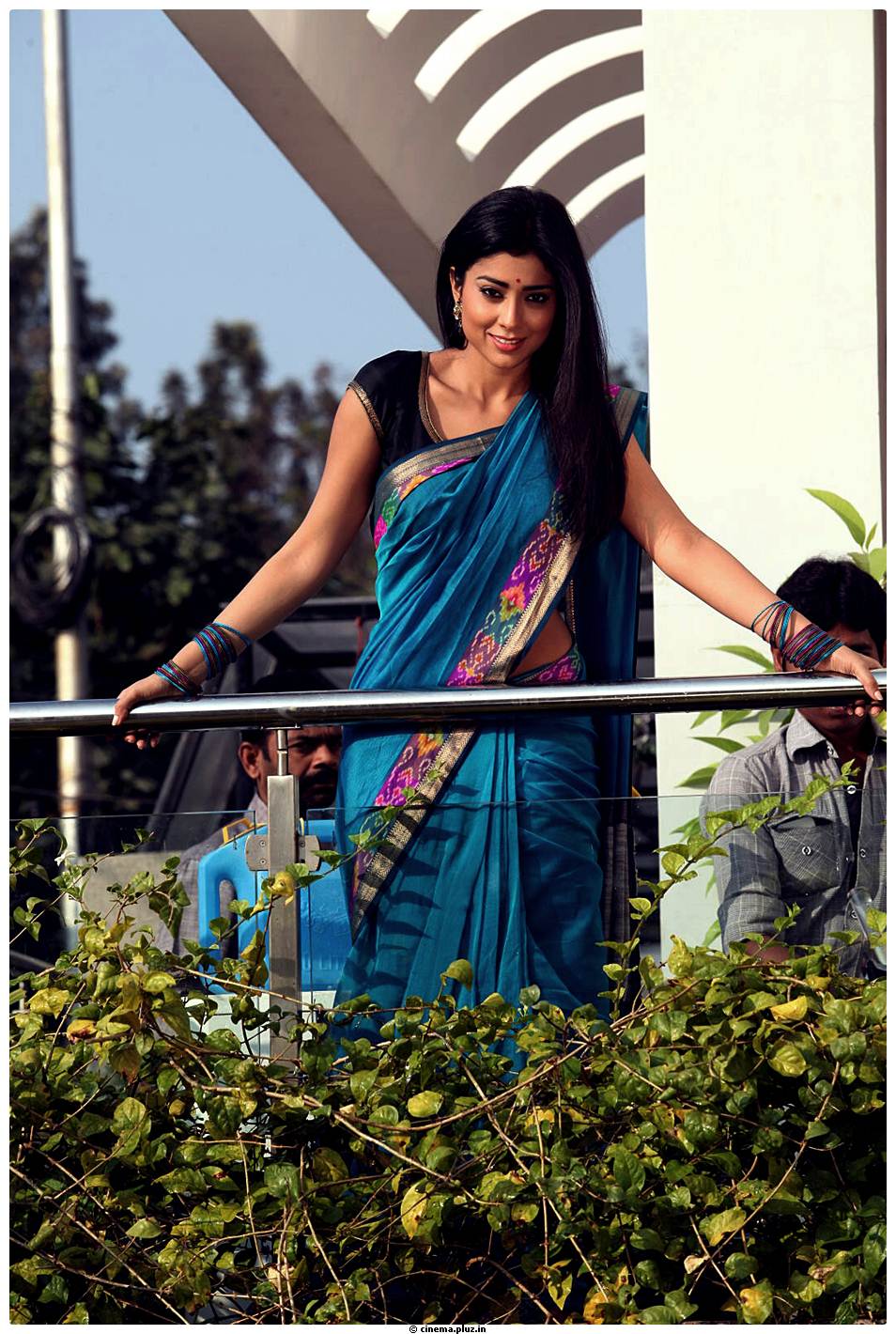 Shriya Cute Saree Images | Picture 522950