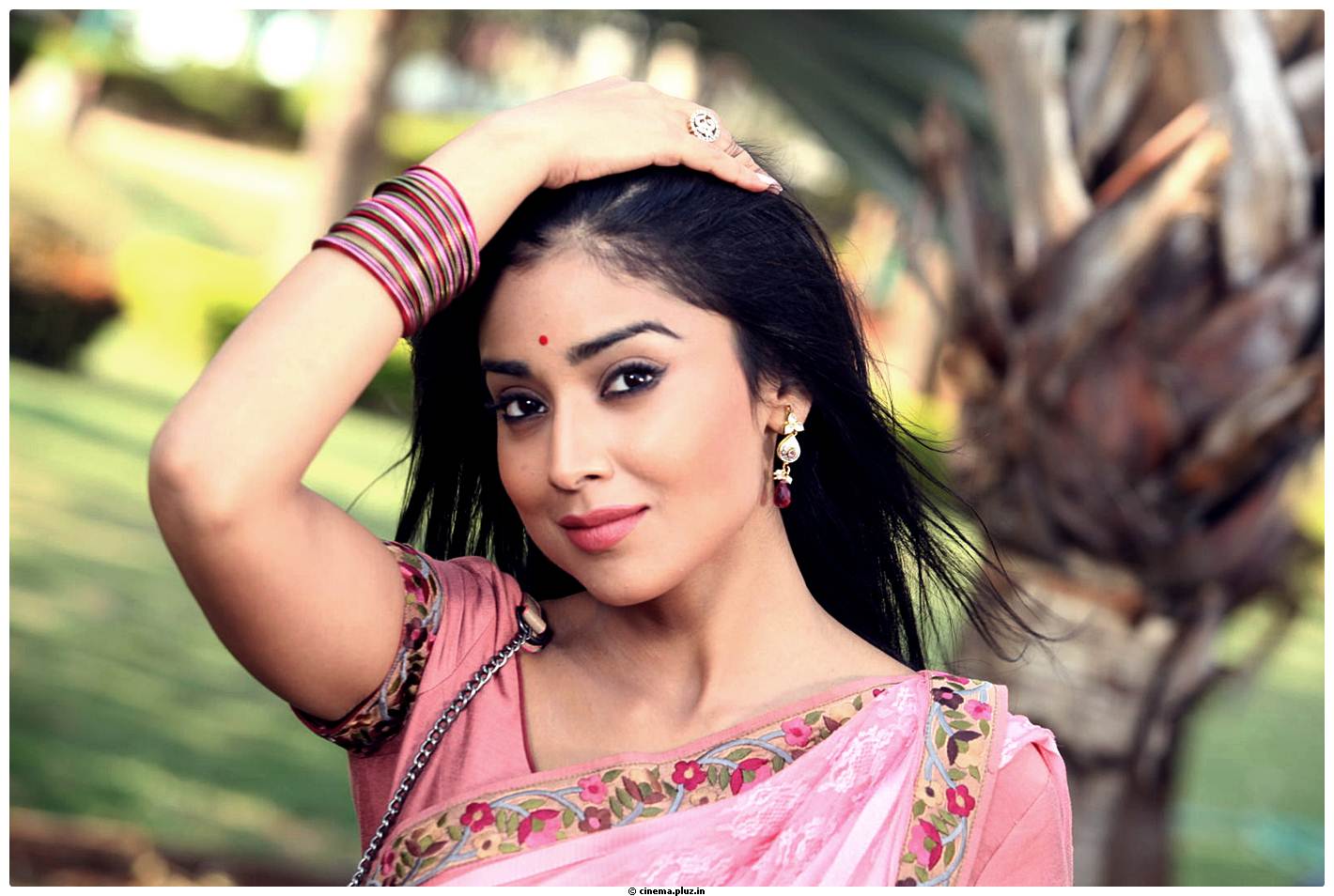 Shriya Cute Saree Images | Picture 522953