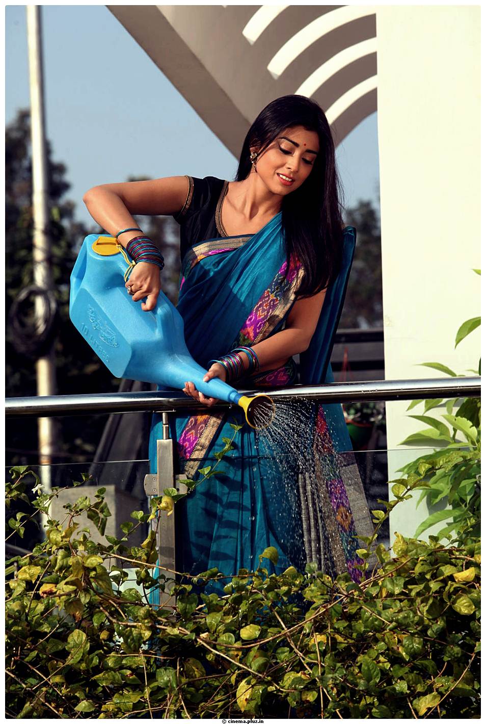 Shriya Cute Saree Images | Picture 522960