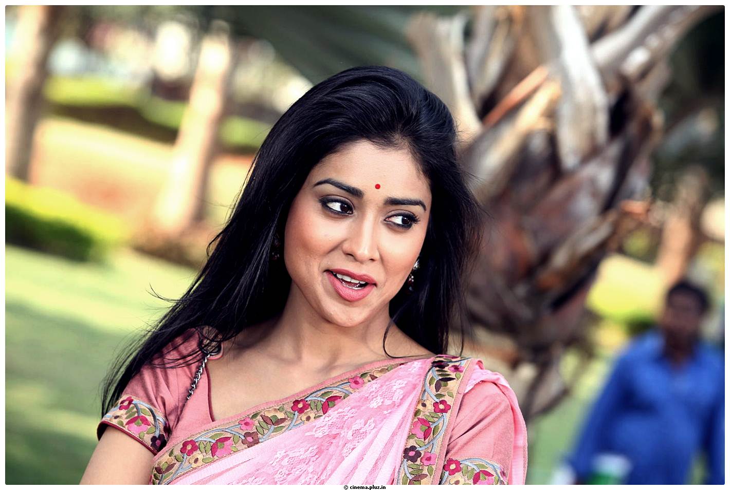 Shriya Cute Saree Images | Picture 522969