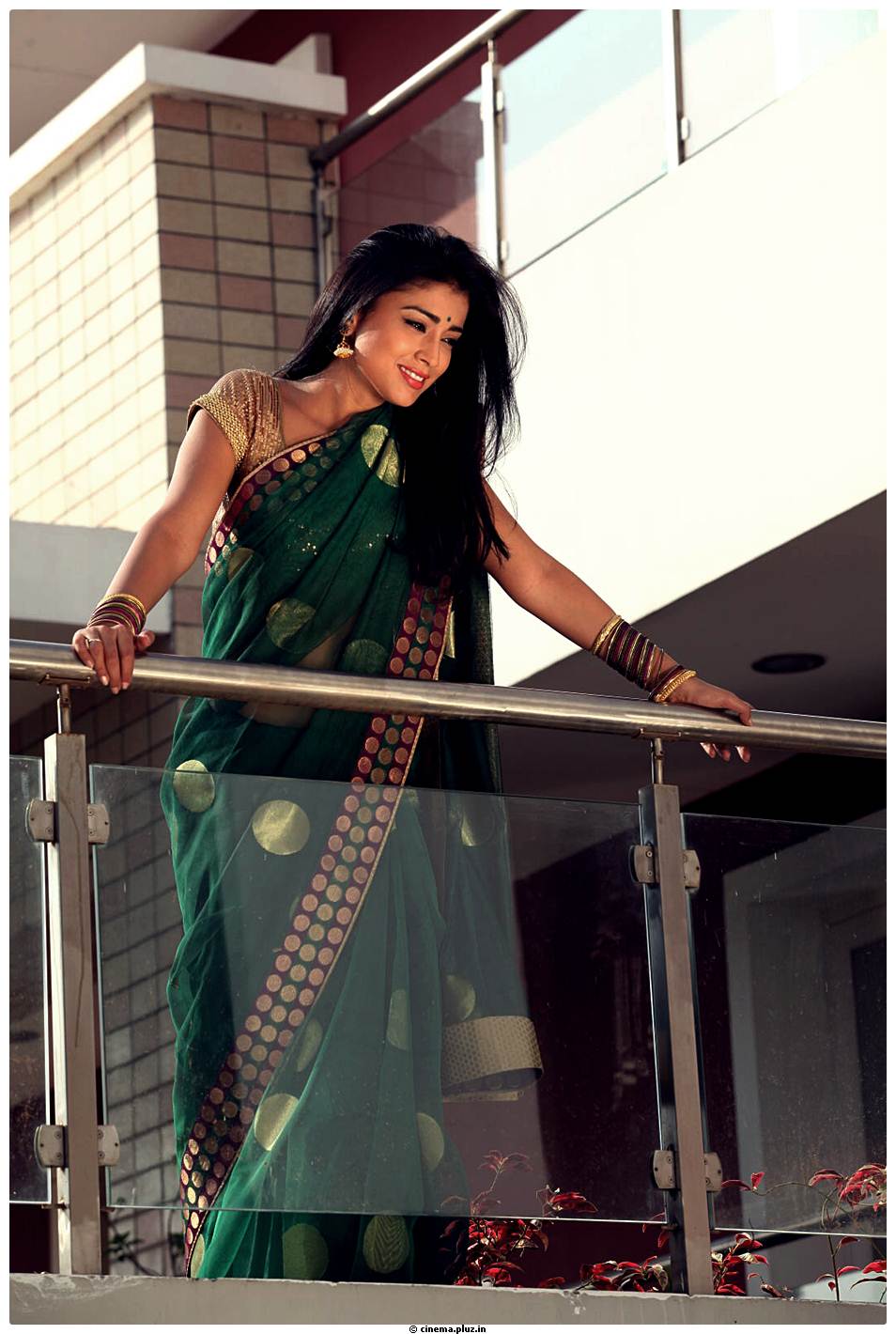 Shriya Cute Saree Images | Picture 522814