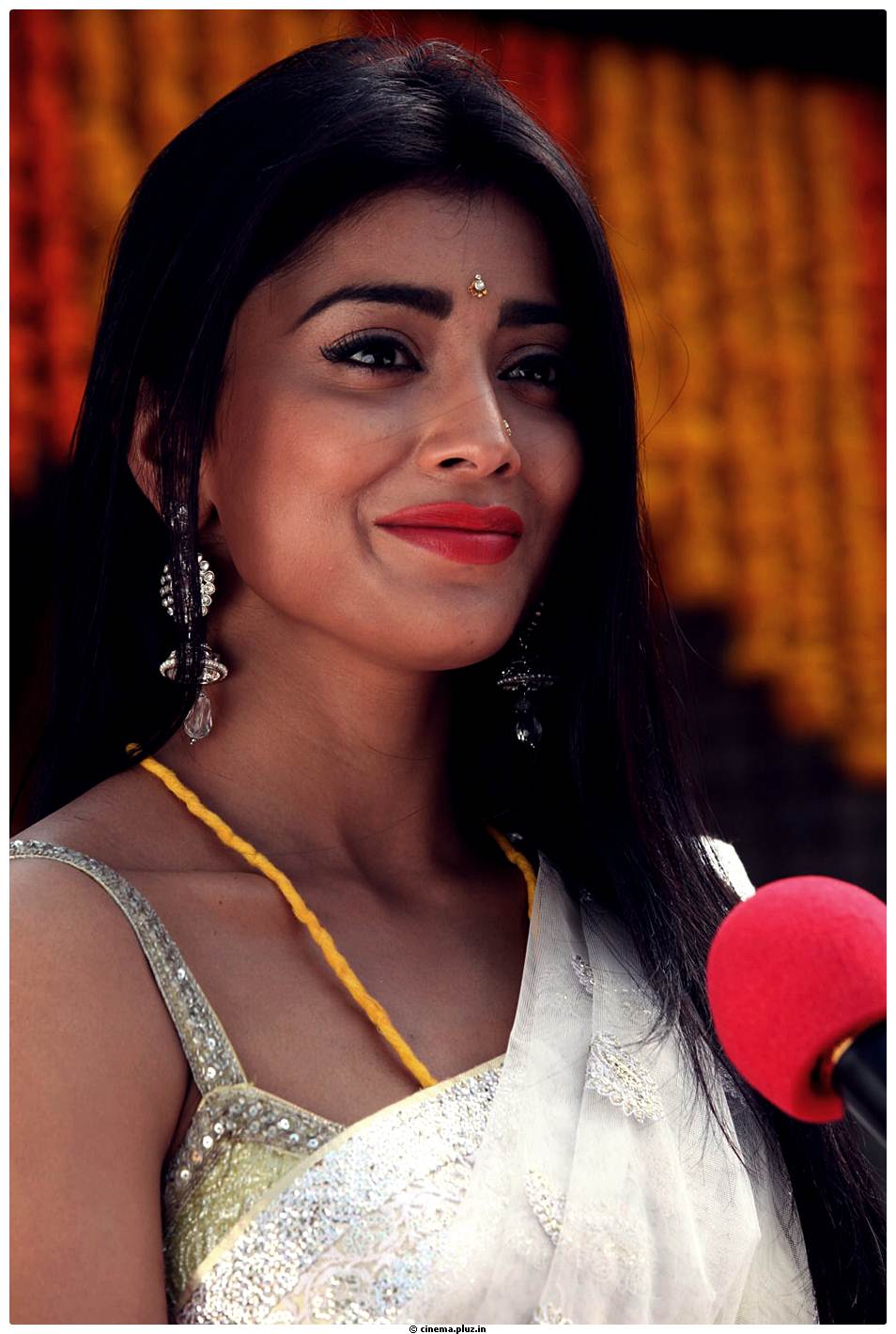 Shriya Cute Saree Images | Picture 522816