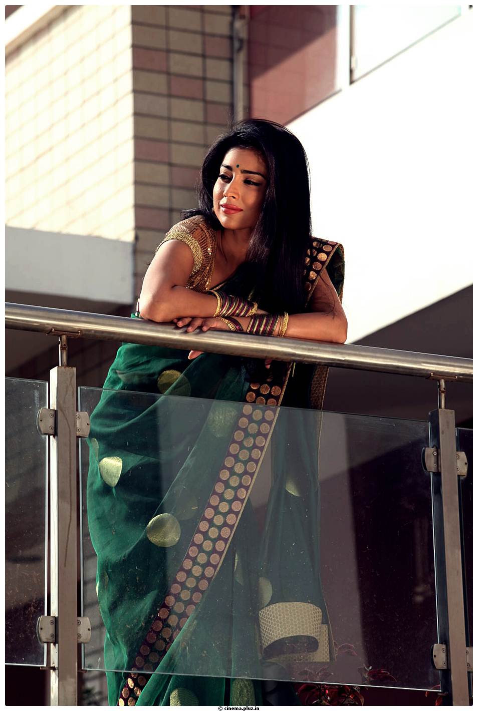 Shriya Cute Saree Images | Picture 522822