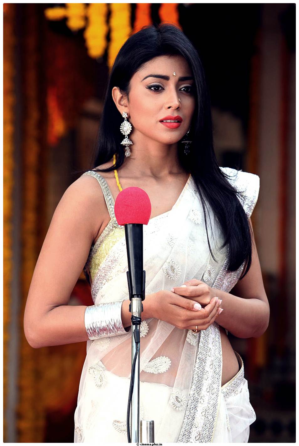 Shriya Cute Saree Images | Picture 522826